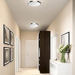 DYMOND LED Ceiling Light Flush Mount 10 Inches