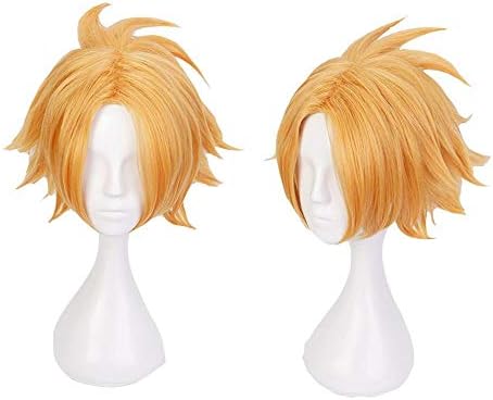 denki wig