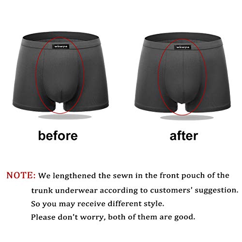 wirarpa Men's Breathable Micro Modal Trunk Underwear Covered Waistband