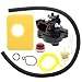 Carbhub 799583 Carburetor for Briggs & Stratton 799583 Lawn Mower Edger Outdoor Equipment 09P602 9P602 500E Series OVH 4-Cycle Vertical Engine with Seal - 799583 Carburetor with Air Filter Fuel Filter