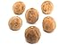 Persian Dried Limes 4oz - 1/4lb in Sealed Stand up Bag