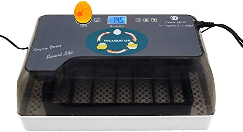 Inicio 12 Eggs Incubator Automatic Digital Temperature Control Automatic Egg Turning Turner Chicken Duck Hatcher Egg Incubator Hatcher Machine