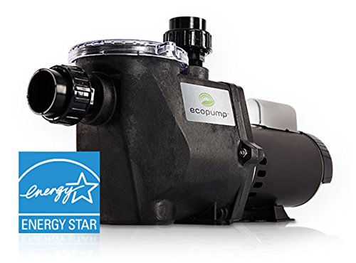 EcoPump EP-4 Energy Efficient Inground Pump