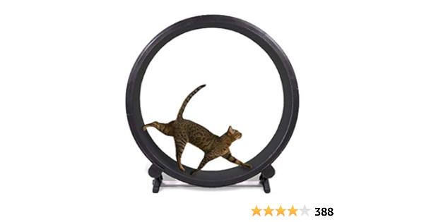 dog pulling training