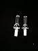 the EE Brand 2 pcs of 10mm Male Quartz Tip for NC Set-by Selected Supplier Amazon Store ONLY