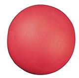 Champion Sports Coated High Density Foam Ball