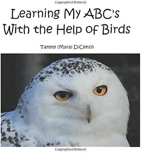 Download Learning My ABC's With the Help of Birds PDF