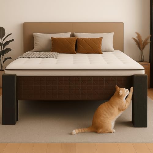 BOXFAN Kit Arranhador para Gatos Protetor de Sofá e Cama Box (Kit com 2 Arranhadores - Kit com 4 Arranhadores) (4 Arranhadores)