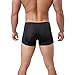 ALT 2017 Men 's Underwear Sexy Temptation Separation Ice Silk Translucent JJ Sets (Medium, Black)