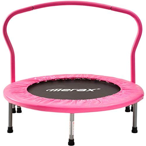 Merax Gartentrampolin,Kindertrampolin, Trampolin Komplettset,Ø 183 Gartentrampolin, tragend 80 kg, hat den GS- und TÜV…