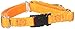 GOGO Pet Products 3/8-Inch Martingale Dog Collar, X-Small, Orange