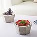 Set of 2 Modern Cement Octagon Planter Pot, 5-Inch Succulent & Cactus Container, Gray