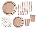Rose Gold Party Supplies Elegant Foil Paper Plates, Napkins, Cocktail Napkins, Paper Cups for 16 People