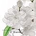 Larskilk White Cherry Blossom Branches – Set of 3, 36-Inch Real Touch Artificial Flowers – Faux Floral Stems for Vases, Wedding Décor, Events & Home Arrangements – Japan’s National Flower