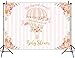 Mehofoto Up Up And Away Baby Shower Backdrop Hot Air Balloon Photography Background 7x5ft Vinyl Pink Hot Air Balloon Baby Shower Party Banner Backdrops