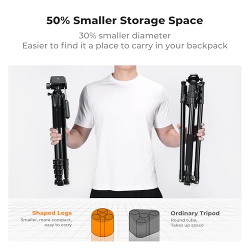 K&F CONCEPT 75" Lightweight Tripod, Camera Compact Tripod with Remote and 2-in-1 Phone Holder,Travel Phone Tripod with Removable 3-Way Pan Head for Selfie/Video Recording/Photo/Live Stream/Vlog