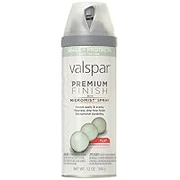 Valspar 410-85060 SP Multi-Surface Enamel Spray Paint, 12 Oz Aerosol Can, Clear