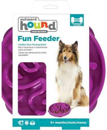 Amazon Com Outward Hound Fun Feeder Flower Purple Pet Feeding