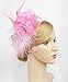 Cizoe Fascinators Hats for Women with Hair Clip Tea Party Hats Feather Wedding Headware Bridal Headpiece(1-Pink)