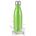 Terra Hiker Insulation Water Bottle, Double Walled Vacuum Stainless Steel Water Bottle, Condensation Free, BPA Free, for Sports & Outdoors, 18 oz/500 ml (Green)