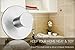 Self Adhesive Hook - Gradation House - 1 Hook - Stainless Steel Self Adhesive Wall Hooks for Bedroom, Bathroom, Kitchen - Robe Hook