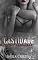 Livro Castidade