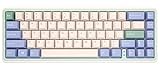 Varmilo Minilo VXH67 Eucalyptus 65% Wired Hotswap
