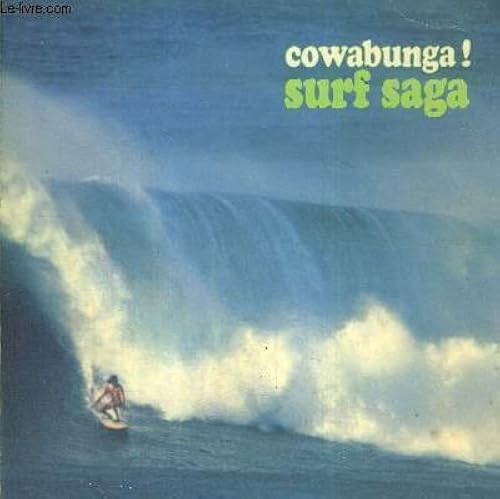 Download Surf saga PDF