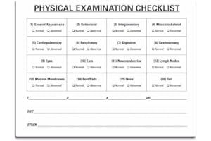 Veterinary Physical Exam Checklist Labels - 4” x 3.25”, 250 Labels/Roll, Perforated Labels | 16 Main Areas of Veterinary Physical Examination | LabelValue Brand
