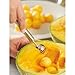 WMF 1871266030 Universal Scoop Profi Plus, Stainless Steel, Silver