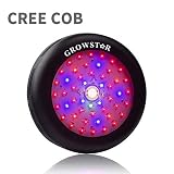 Growstar 300W UFO Led Grow Light, Full Spectrum UV & IR Plant Light with High Par Value Cree COB Grow Light for Indoor Greenhouse Plants Gardening, Flowering (300w)