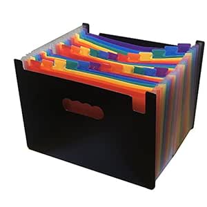 Carpeta de archivadores expansibles (24 bolsillos),portátil,A4