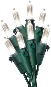 Celebrations Led Light Set 50 Lights Warm White 14' Glass Indoor/Outdoor Use Green Cord