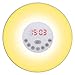 Sunrise Alarm Clock, Wake Up Light Sunrise Simulator Daylight Alarm Clock for Heavy Sleepers, with 7 Colors, FM Radio, Nature Sounds, Snooze Function and Touch Control