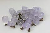 Pack of 30 Transparent Cylindrical Shape Rubber Non Slip Non Skid Feet Pad