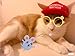 Unekorn Ultra Comfort Adjustable Make Ameowica Great Again MAGA Trump Slogan Cat Hat Pet Costume for Halloween Parties and Instagram Pictures Make America Great Again Cat Hat