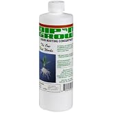 Dip'N Grow Dip N Grow DG01601 Rooting Solution