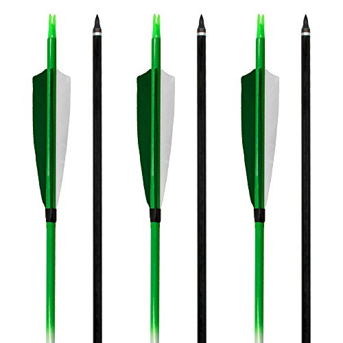 Archery sharly 31" Carbon Practice Targeting Arrows,5" Natural Feather Arrows with Screw-in Tips for Recurve Traditional and Long Bow(12 Pack) - Thumbnail 4