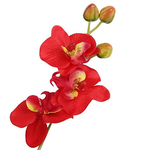 VibolaÂ® Artificial flowers silk flower fake butterfly orchid with leaves Phalaenopsis floras for wedding home decoration (Red)