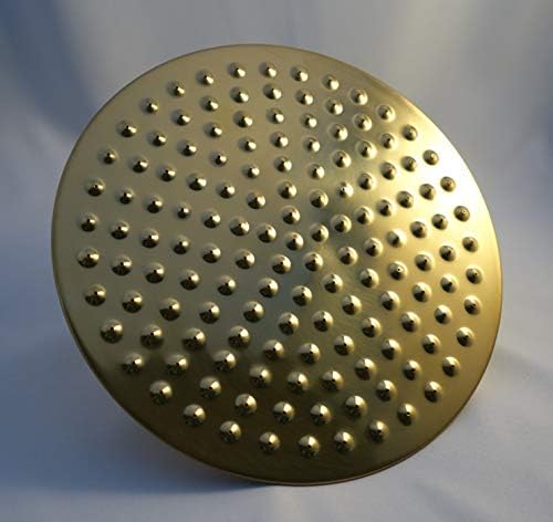 8" Euro Rain Shower Head in Polished Brass