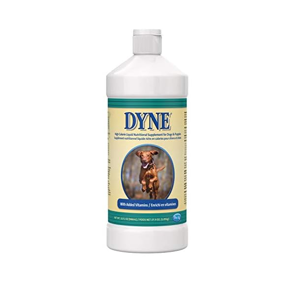 Dyne High Calorie/Weight Gainer Liquid for Dogs, 32 oz Dog Supply Hub
