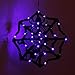 Twinkle Star Halloween Spider Web with 31 LED Waterproof Purple Lights and 2 Black Spider, Indoor Outdoor House Yard Garden Scary Halloween Decoration