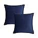 Firet Velvet Throw Pillow Cover, 20