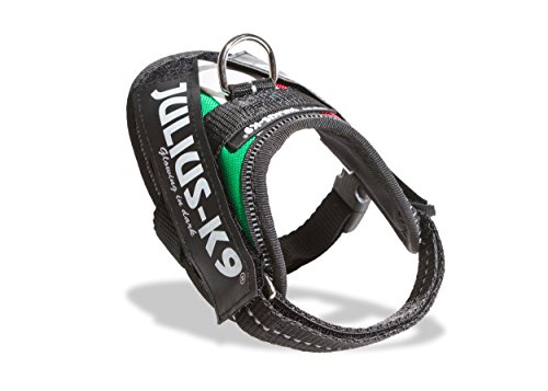 Julius-K9 IDC-Powergeschirr, Hungarian flag, Size: Baby 1/29-36 cm/11.5-14"