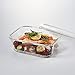 LOCK & LOCK Ovenglass Airtight Heat Resistant Glass Rectangular Food Storage Container 67.63-oz / 8.45-cup