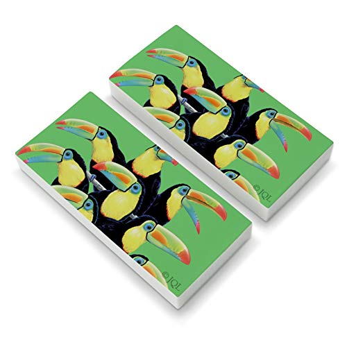 Colorful Toucan Town Rainforest Birds Eraser Set of 2