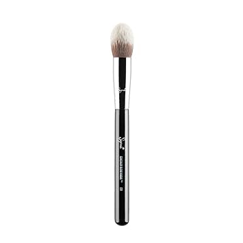 sigma f79 concealer brush
