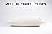NapYou Official Best Pillows for Sleeping (2 Pack Queen) Shredded Certipur Memory Foam Pillow with Unique and Luxury Pillow Cover Design for Ultimate Breathability Made with Organic Cotton