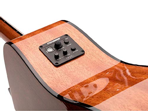 2 Monoprice+Idyllwild+Acoustic+Electric+Fishman