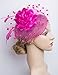 K.CLASSIC Fascinators Hats for Womens 50s Headwear with Veil Flower Cocktail Wedding Tea Party Hat(A-Rose)